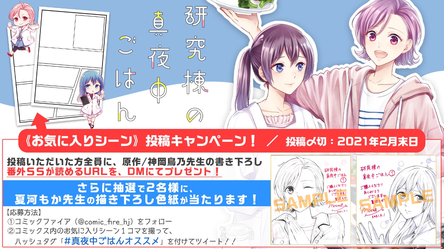 キャンペーン情報。