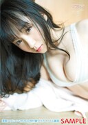 付録のクリアファイル（ウラ）。