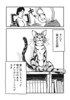 「つまねこ」より