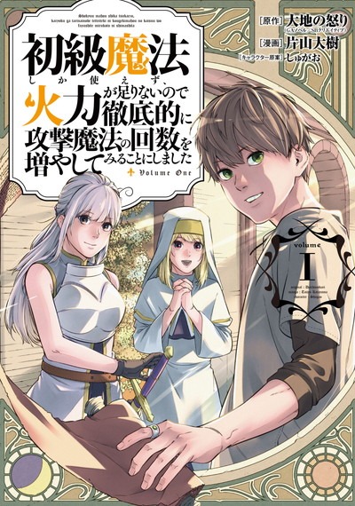 「初級魔法しか使えず、火力が足りないので徹底的に攻撃魔法の回数を増やしてみることにしました」1巻