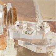 「Dr.STONE」シルバーリング3種を並べた様子。