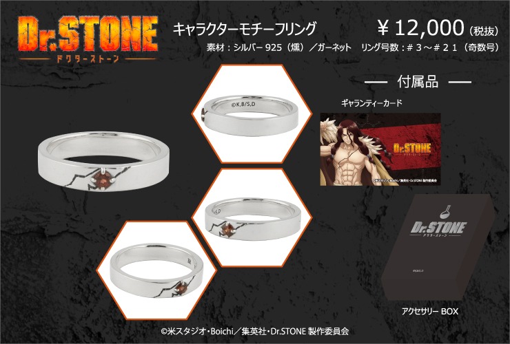 獅子王司シルバーリングの商品イメージ。