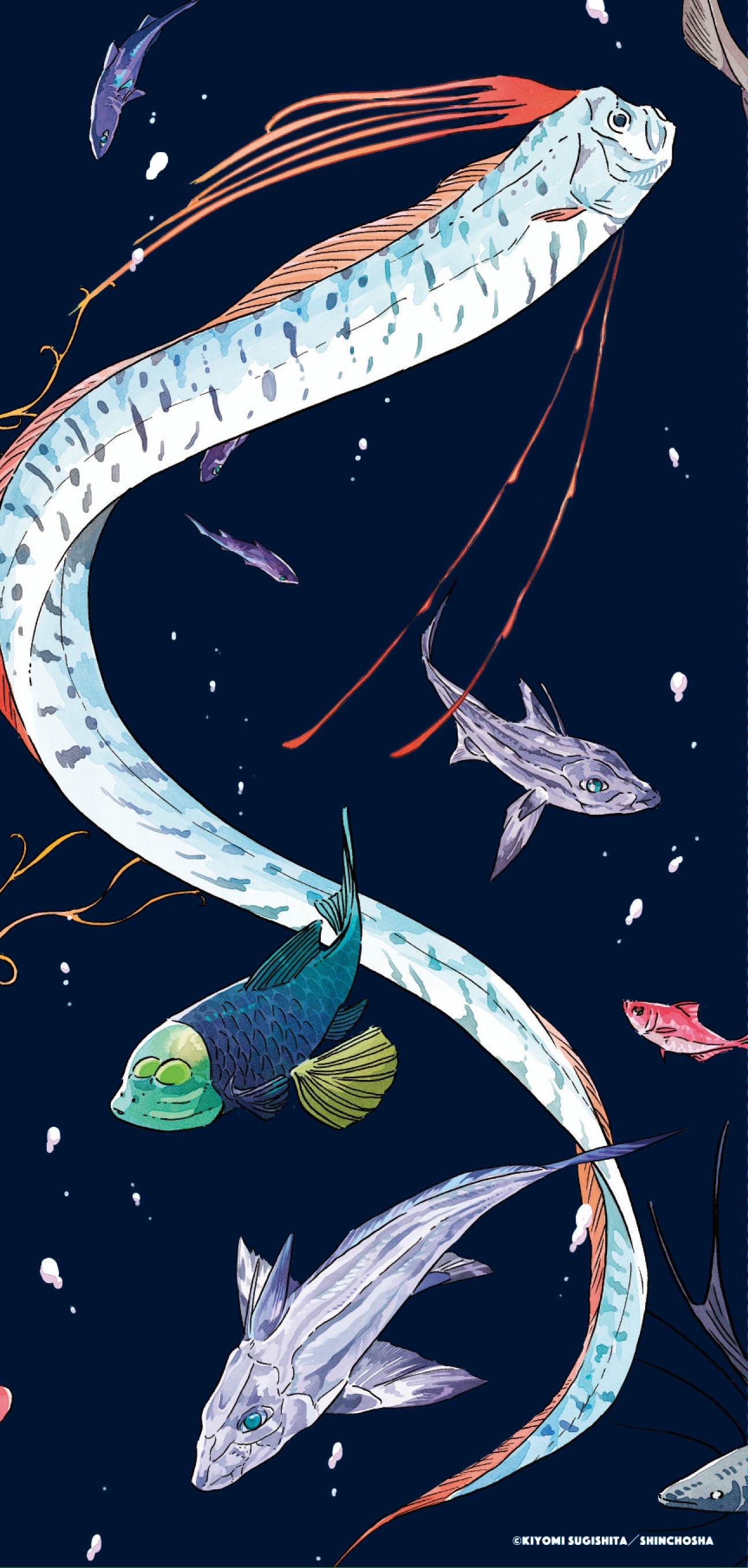 オリジナルグッズのチケットホルダー（裏面）。