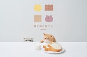「ねこねこ食パン」ビジュアル