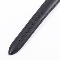 「胡蝶しのぶ モデル」のベルト。