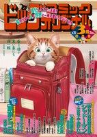 ビッグコミックオリジナル増刊3月号