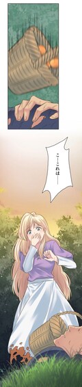 言葉も通じない男の正体は 奴隷の女性をある出会いが救う ドラゴン騎士の花嫁 コミックナタリー