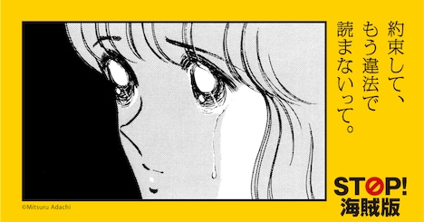 バナーのサンプル画像。 (c)Mitsuru Adachi