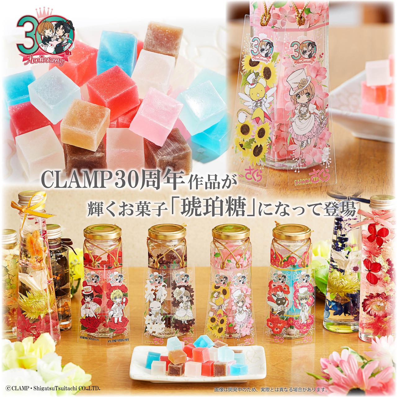 xxxHoLic　CLAMP30周年記念限定　伽羅切絵 シナプス・モール | 伽羅切絵「xxxHOLiC」30th Anniv.