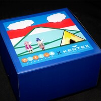 収納用ボックス