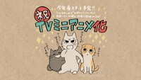しかるねこのアニメ化の告知画像。
