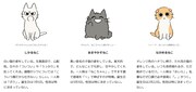左からしかるねこ、あまやかすねこ、ながめるねこ。