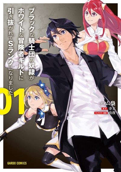 「ブラックな騎士団の奴隷がホワイトな冒険者ギルドに引き抜かれてSランクになりました」1巻