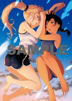 ゲーマーズ限定版に付属するB2布ポスター。