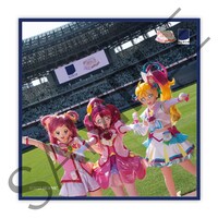 マイクロファイバータオルのサンプル画像。