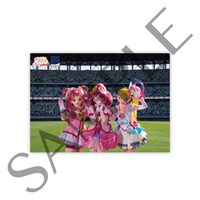 ポストカードセットのサンプル画像。