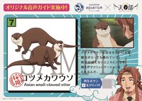 「生き物解説パネル」のイメージ。