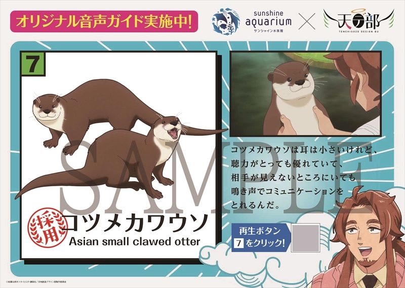「生き物解説パネル」のイメージ。