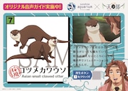 「生き物解説パネル」のイメージ。