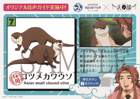 「生き物解説パネル」のイメージ。