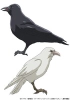 北欧の最高神・オーディンの肩に乗るワタリガラス・フギン（CV：中野泰佑）とムニン（CV：山口智広）。