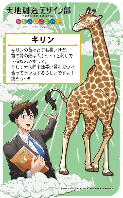 園内に設置される解説パネルのイメージ。
