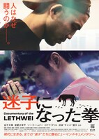 映画「迷子になった拳」ポスタービジュアル