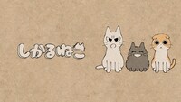 「しかるねこ」
