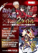 TYPE-MOONエース VOL.13に掲載された告知ページ。