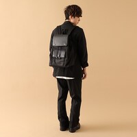 「クロロ=ルシルフル モデル」の使用例。