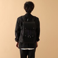 「クロロ=ルシルフル モデル」の使用例。