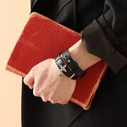 「クロロ=ルシルフル モデル」の使用例。