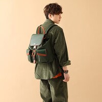 「ゴン=フリークス モデル」の使用例。