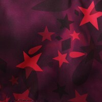 「ヒソカ モデル」のバッグ。