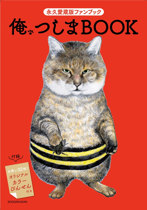 「俺、つしまBOOK」の「オリジナル便せん」付き限定版。※画像は表紙をイメージしたもので、デザインは変更となる可能性がある。