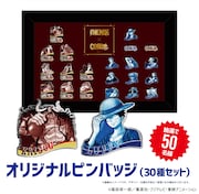 キャンペーンで当たる「オリジナルピンバッジ30種セット」。