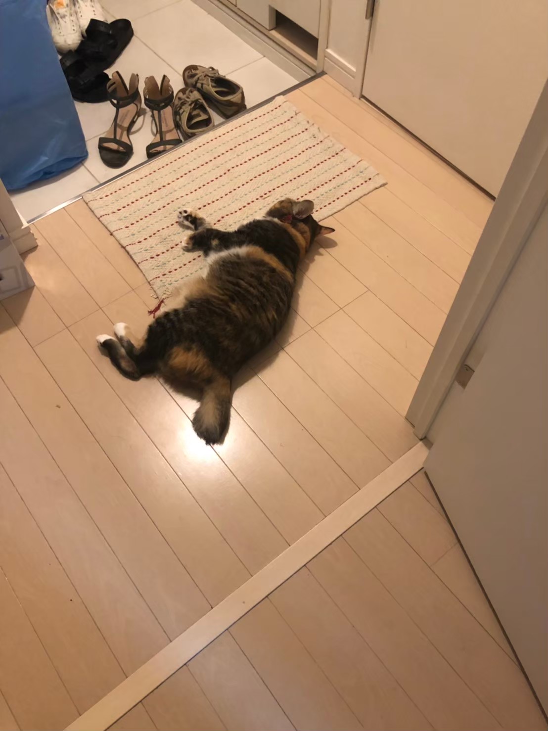 トルコ