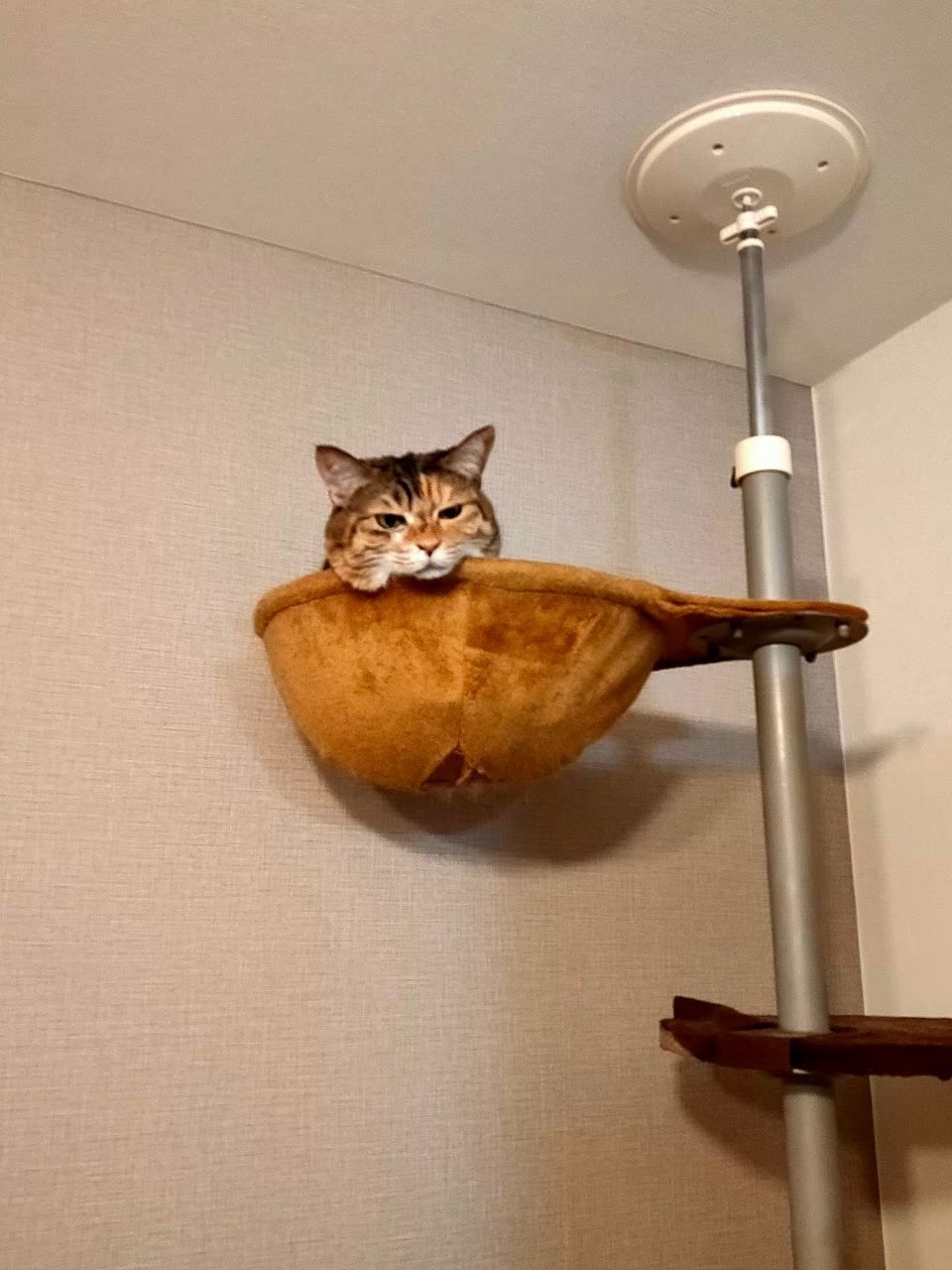 トルコ