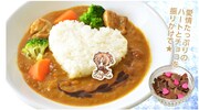 「ちょこらの愛情たっぷりチョコカレー」