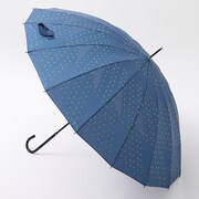 冨岡義勇モデルの傘。