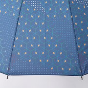 冨岡義勇モデルの傘。