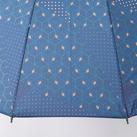 冨岡義勇モデルの傘。