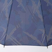 嘴平伊之助モデルの傘。