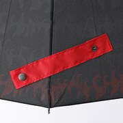 煉獄杏寿郎の傘。