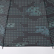 時透無一郎モデルの傘。