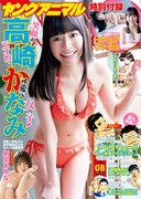 ヤングアニマル8号