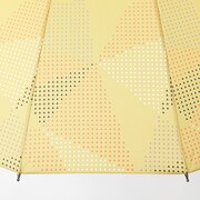 我妻善逸モデルの傘。