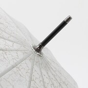 不死川実弥モデルの傘。