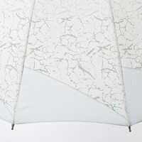 不死川実弥モデルの傘。