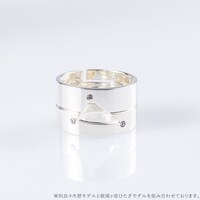 阿良々木暦モデルのリングセットと、戦場ヶ原ひたぎモデルのリングセット。